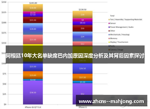 阿根廷10年大名单缺席巴内加原因深度分析及其背后因素探讨 阿根廷10年大名单缺席巴内加原因深度分析及其背后因素探讨